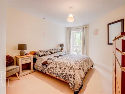 Picture 8